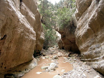 Avakas gorge