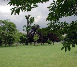Hyde Park