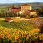 Provencal Scene France