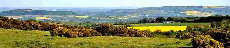 Take a coach trip through the Cotswolds