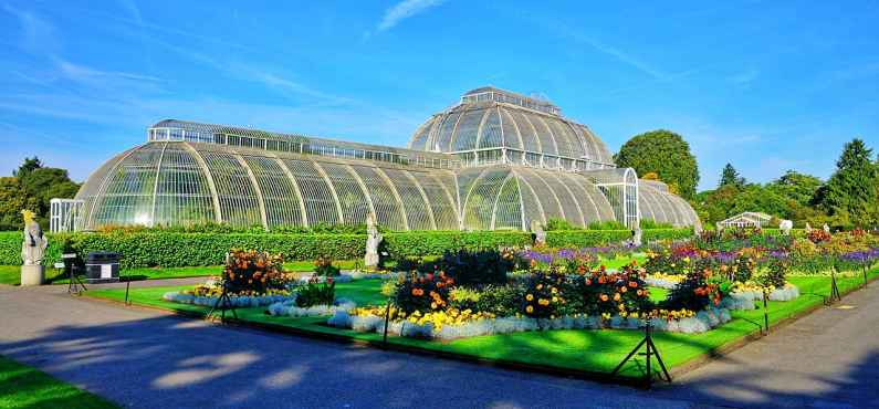 The Palm House, Kew Gardens